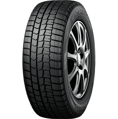 Шина Dunlop Winter Maxx WM02 225/55 R17 101T